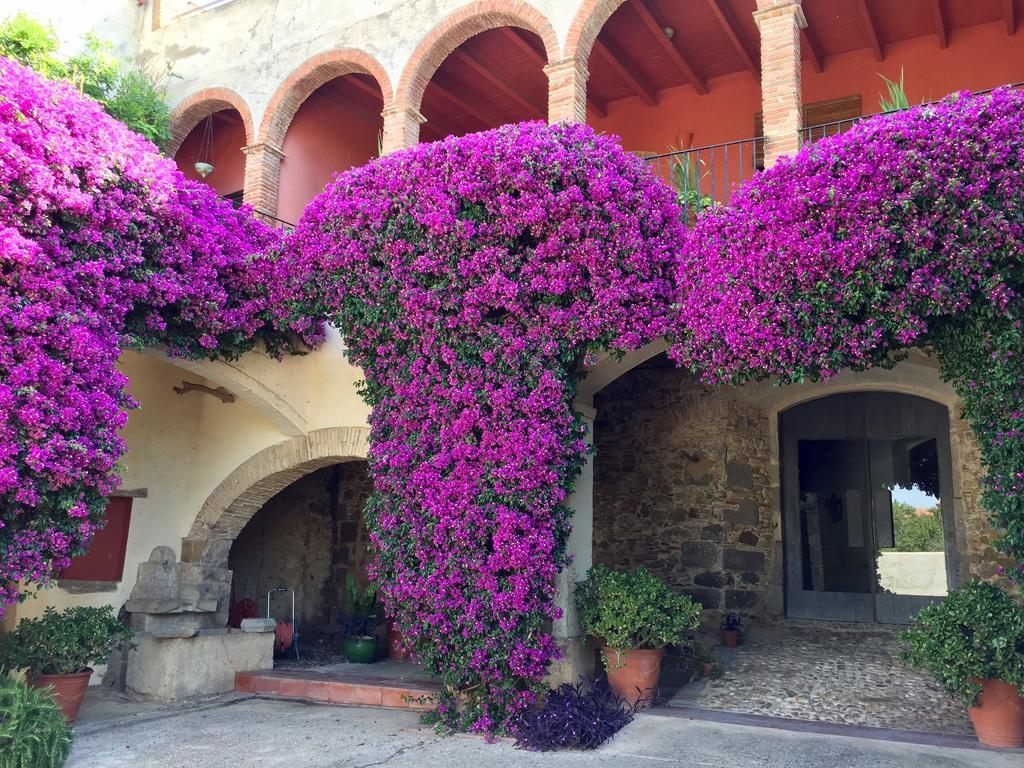 Apartaments Can Gibert Castello  D'Empuries Kültér fotó